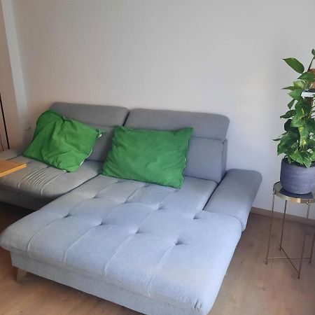 Schone Wohnung In Der Grazer Innenstadt Екстер'єр фото