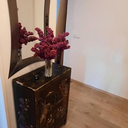 Schone Wohnung In Der Grazer Innenstadt Екстер'єр фото
