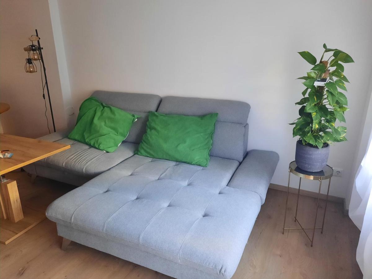 Schone Wohnung In Der Grazer Innenstadt Екстер'єр фото