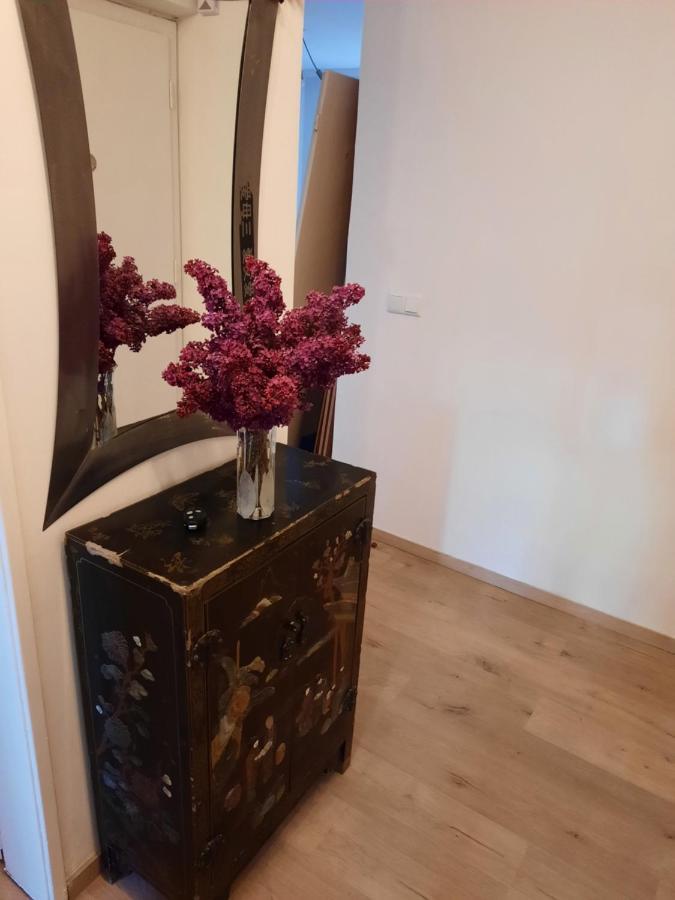 Schone Wohnung In Der Grazer Innenstadt Екстер'єр фото